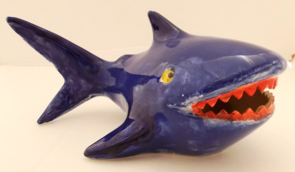 Shark Bank blue